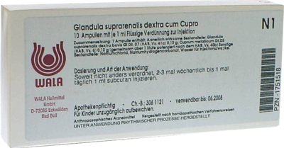 GLANDULA SUPRARENALES dextra cum Cupro Ampullen